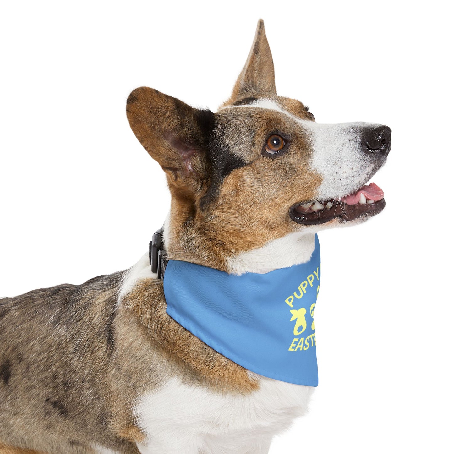 Yellow on Blue Easter-Themed Pet Bandana Collar