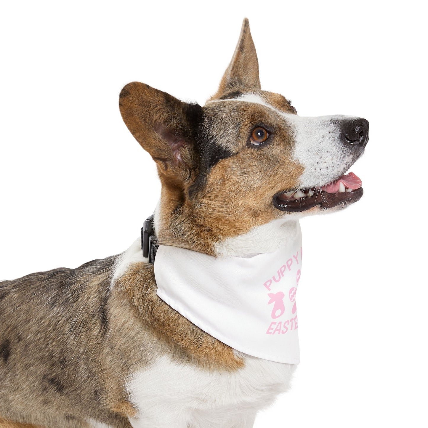Pink Easter Themed Pet Bandana Collar