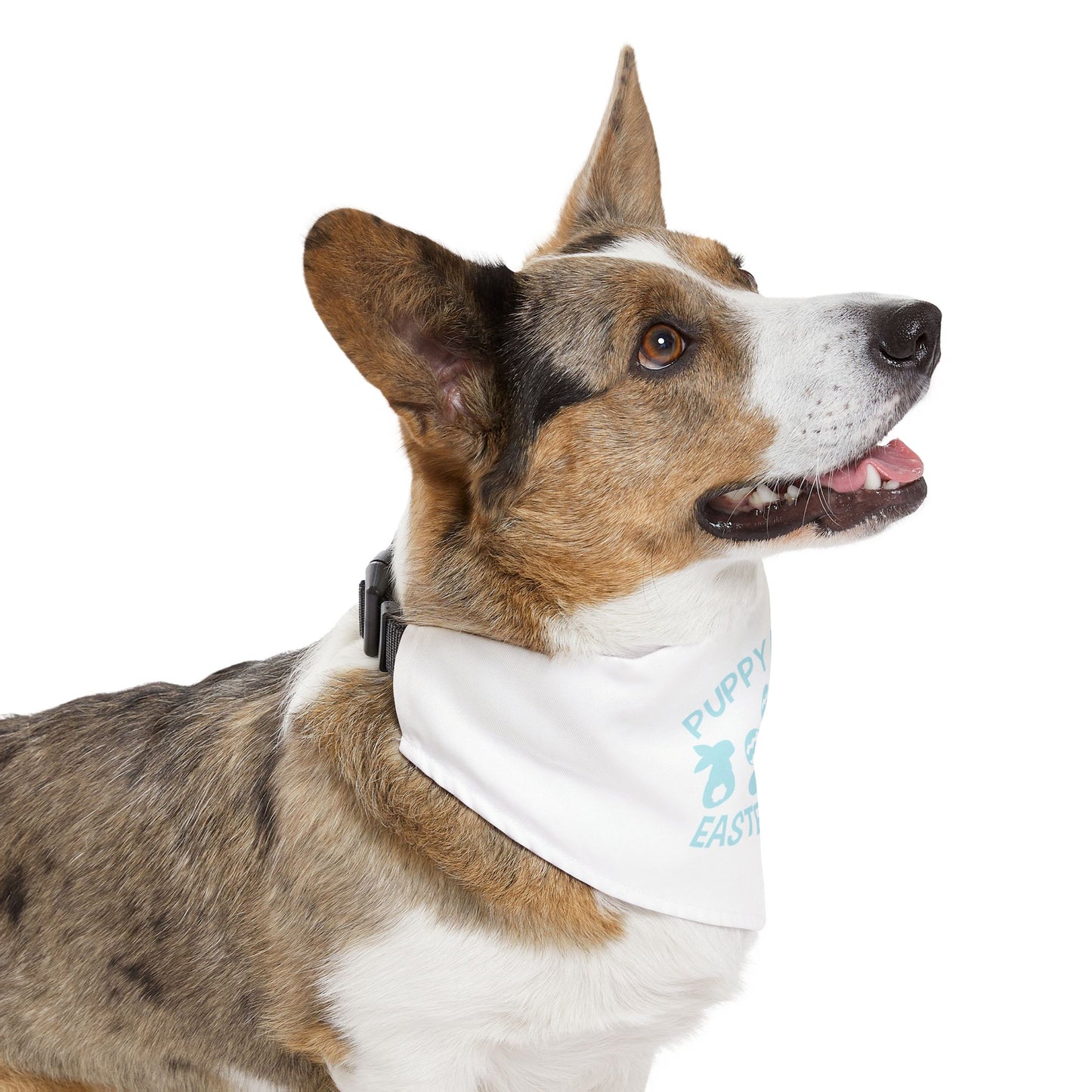 Light Blue Easter-Themed Pet Bandana Collar
