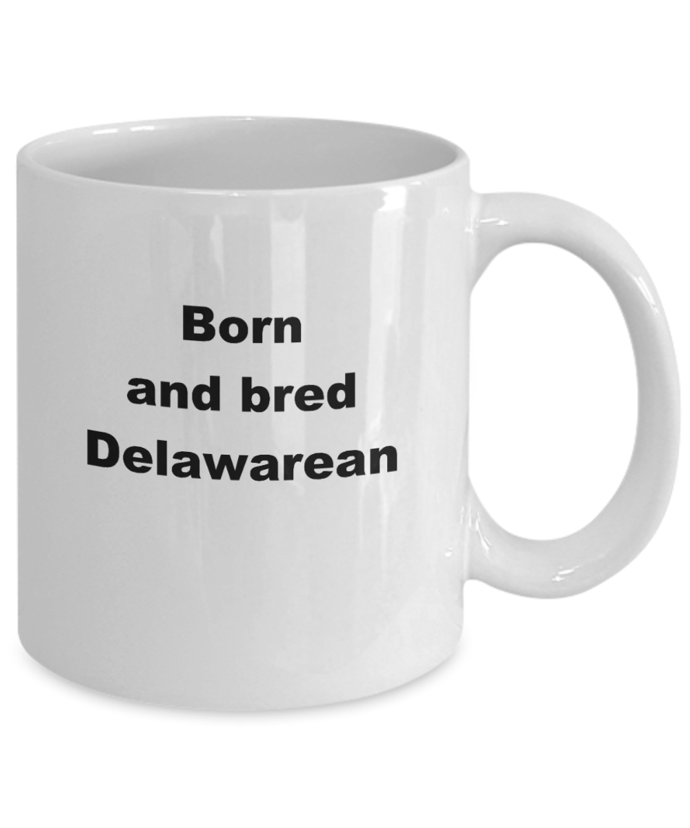 Born Delawarean Mug