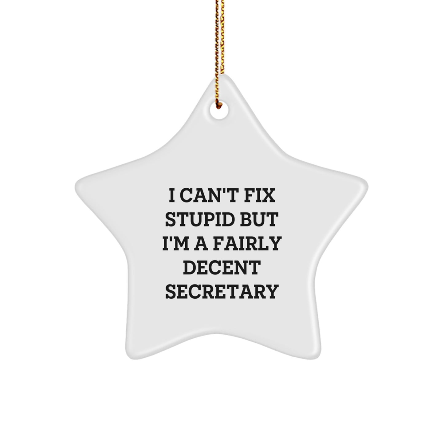 Funny Secretary Gift I Can't Fix Stupid But I'm A Fairly Decent Star Ornament for Christmas from Friends - Image 1