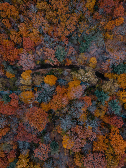 Time flies and it's time for fall!