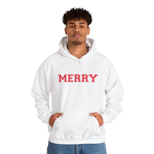 Merry Family Christmas Hoodie