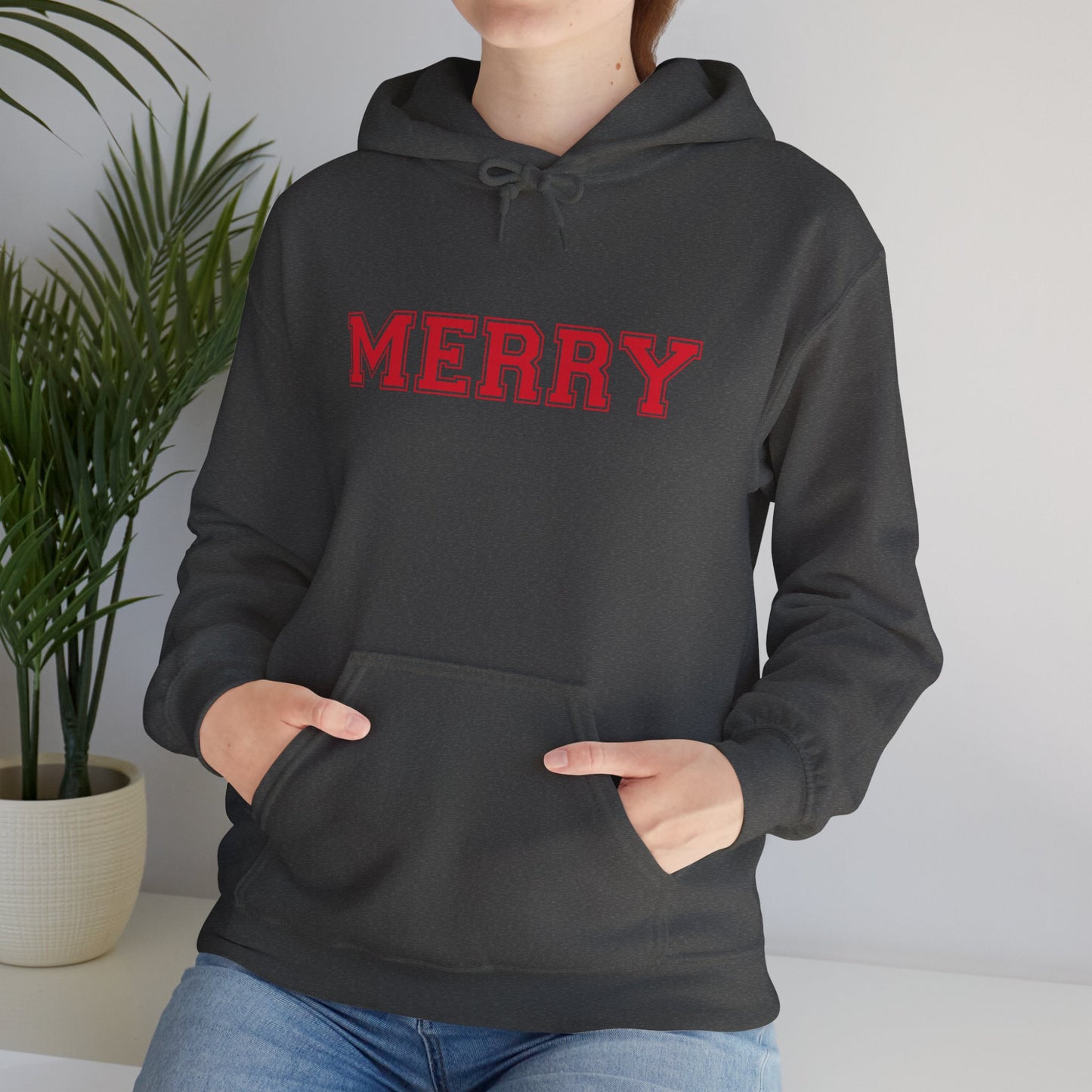 Merry Family Christmas Hoodie
