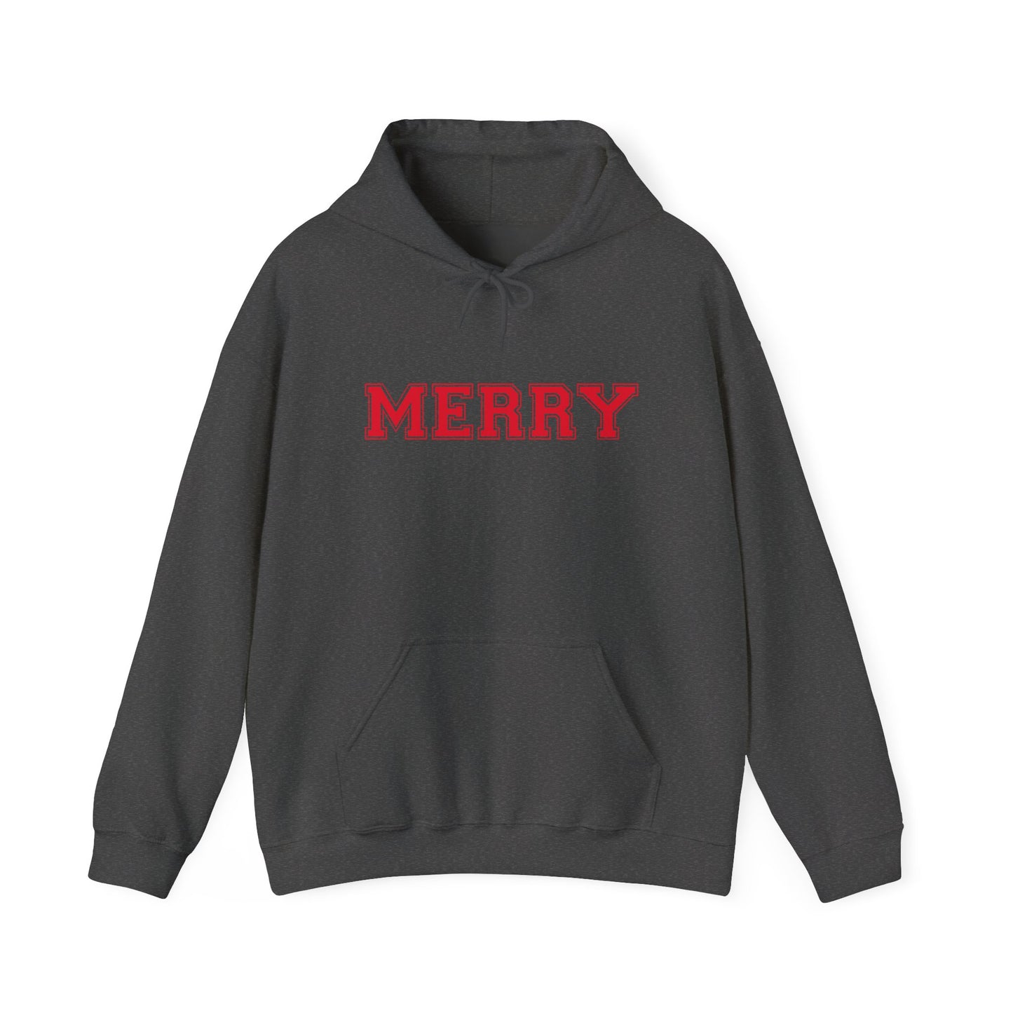 Merry Family Christmas Hoodie