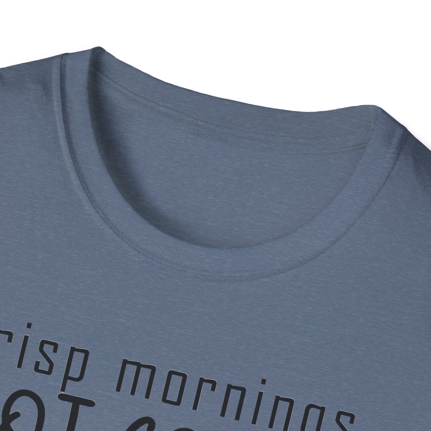 Cozy Fall T-Shirt | Autumn Vibes Shirt, Pumpkin Spice Tee, Hot Cocoa Top, Seasonal Casual Wear, Thanksgiving Gift