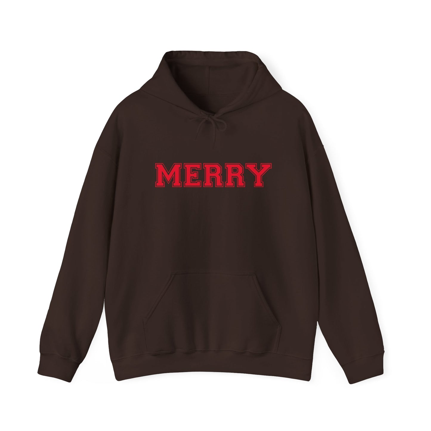 Merry Family Christmas Hoodie