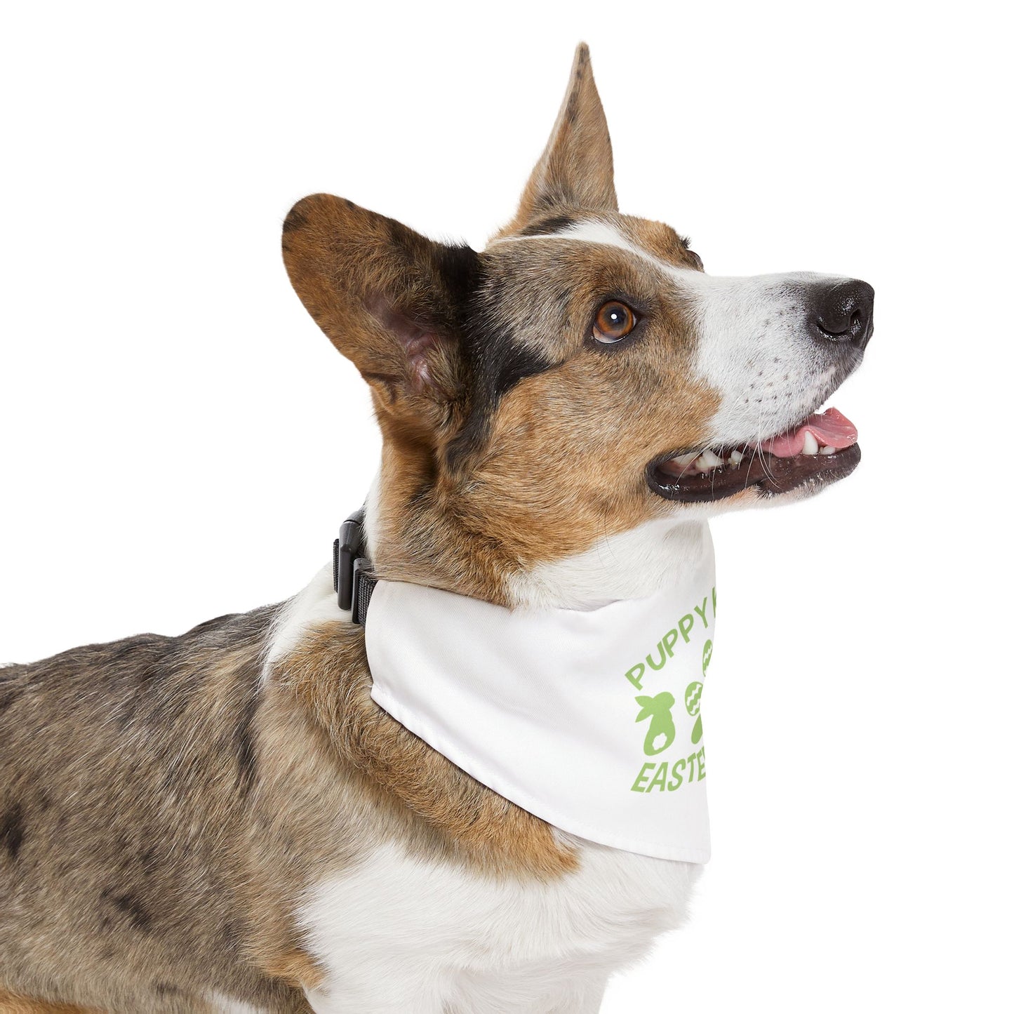 Green Easter Themed Pet Bandana Collar for Dogs