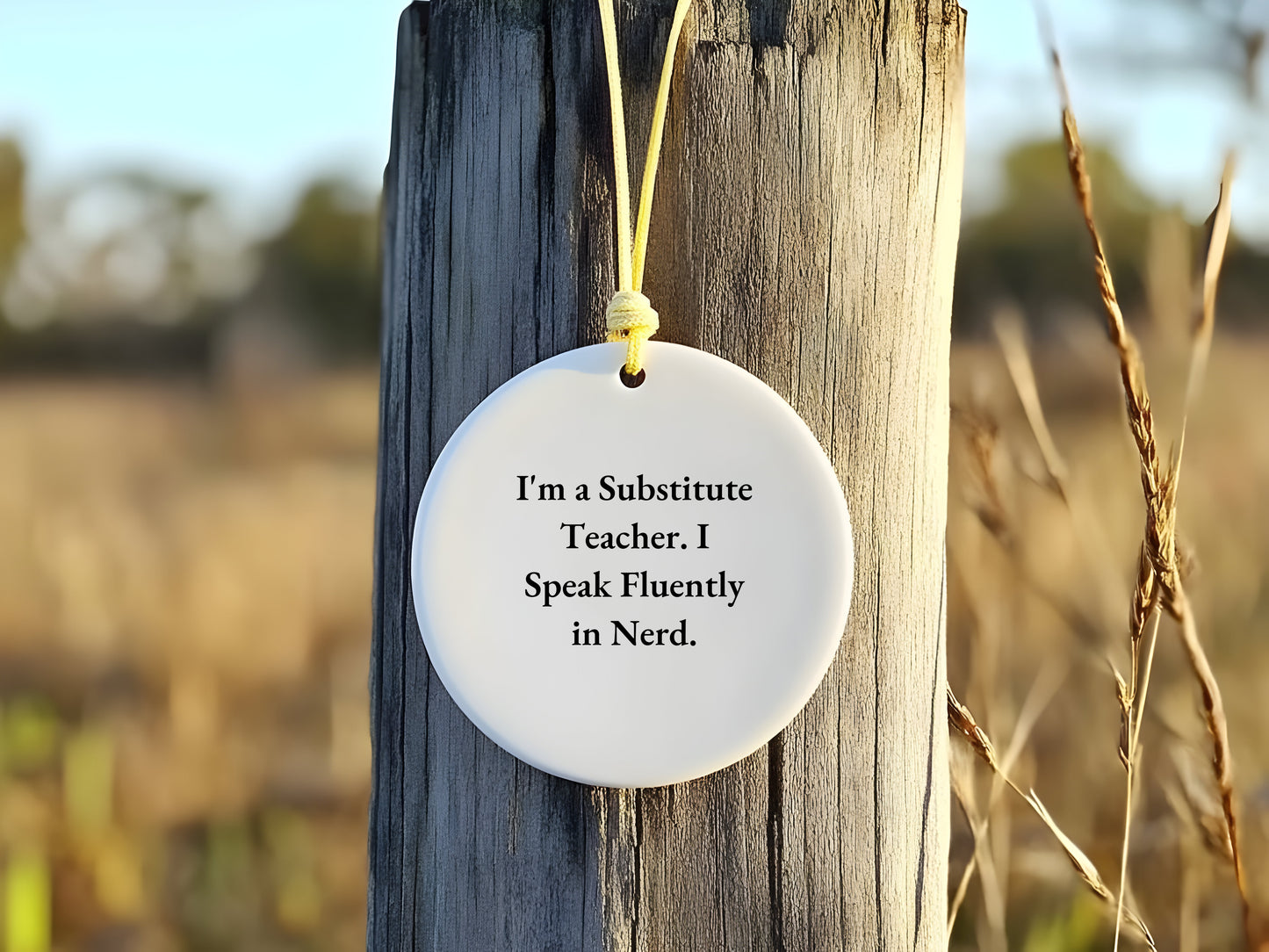 Funny Substitute Teacher Circle Ornament