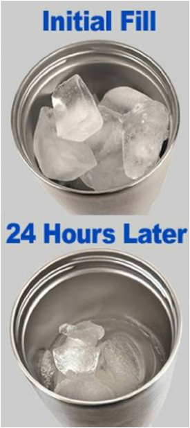 I Just Want to Hang Out with My Collie 20-oz & 30-oz Vacuum-Insulated Tumbler