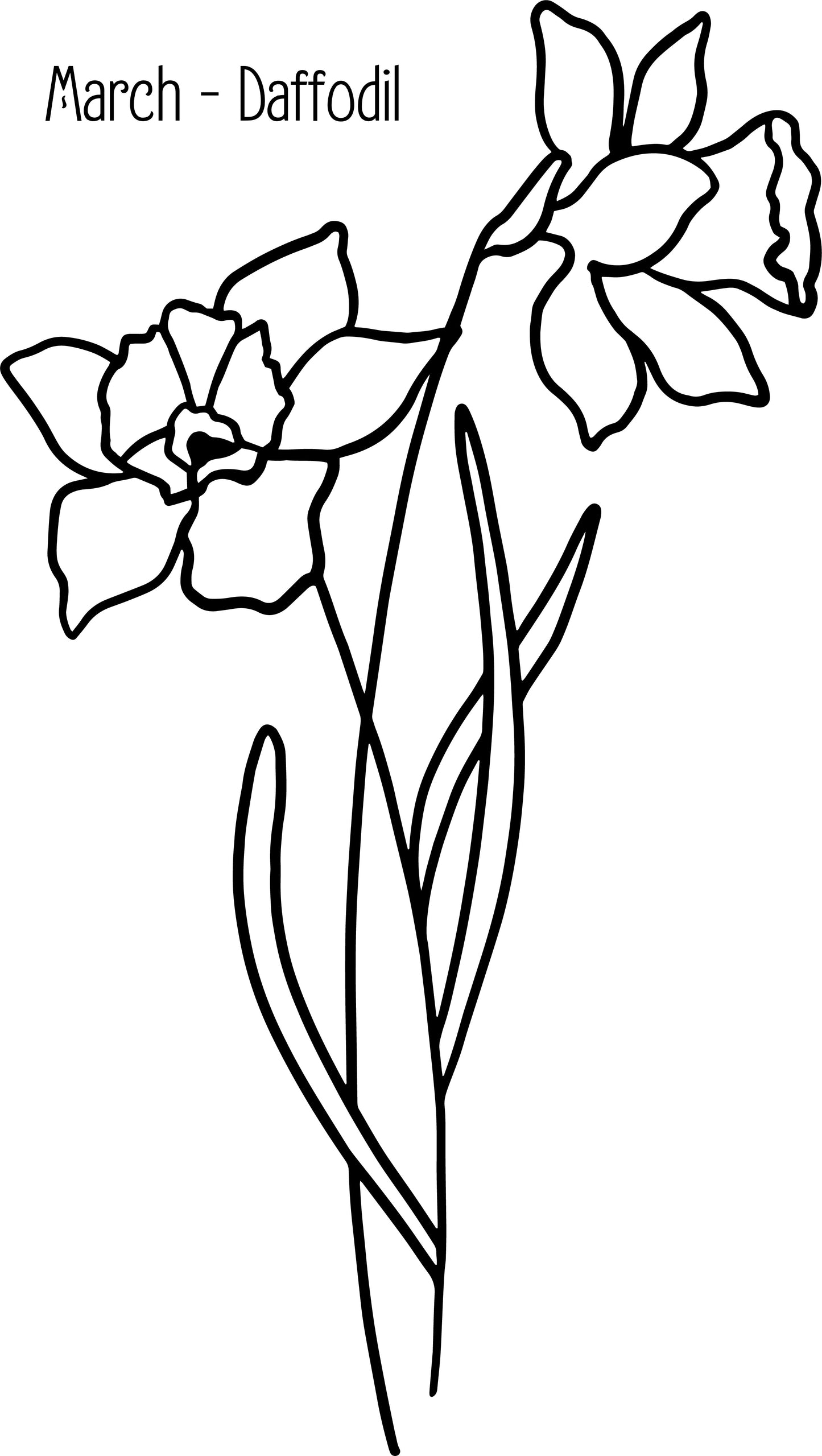 Personalized Birth Flower Tumbler