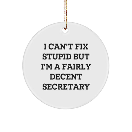 Funny Secretary Circle Ornament, I Can't Fix Stupid But I'm A Fairly Decent Secretary, Gifts from Friends to Secretary, Secretary Gifts for Christmas - Image 1