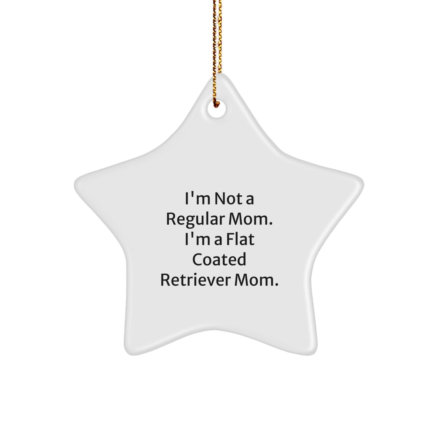 Funny Flat Coated Retriever Dog Gifts, Star Ornament Christmas Decor, For Flat Coated Retriever Mom or Dad, Gifts from Family - Image 1