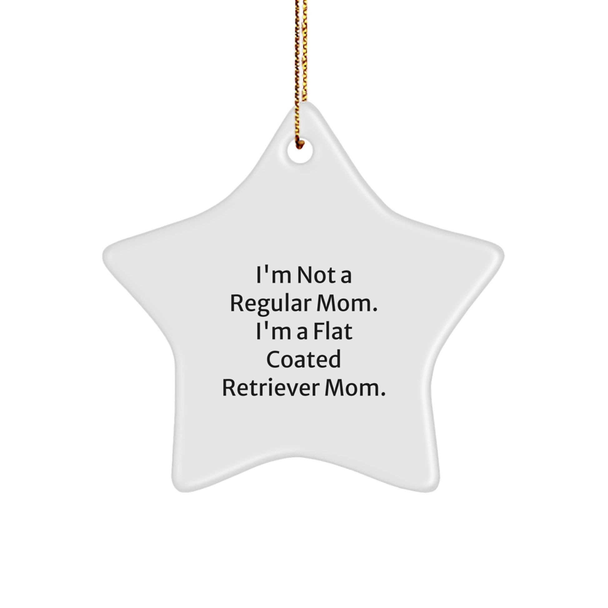 Funny Flat Coated Retriever Dog Gifts, Star Ornament Christmas Decor, For Flat Coated Retriever Mom or Dad, Gifts from Family - Image 1