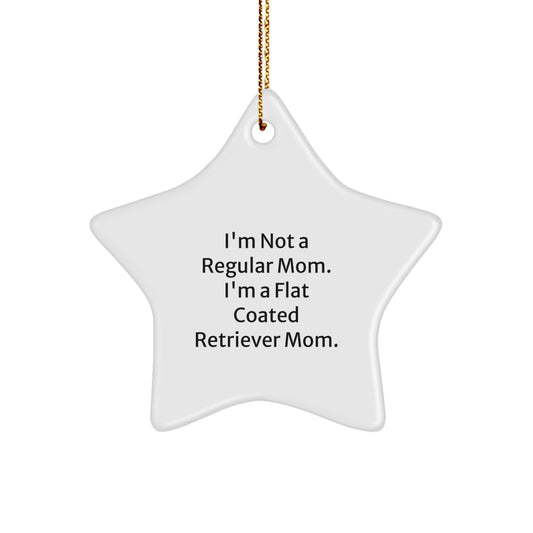 Funny Flat Coated Retriever Dog Gifts, Star Ornament Christmas Decor, For Flat Coated Retriever Mom or Dad, Gifts from Family - Image 1