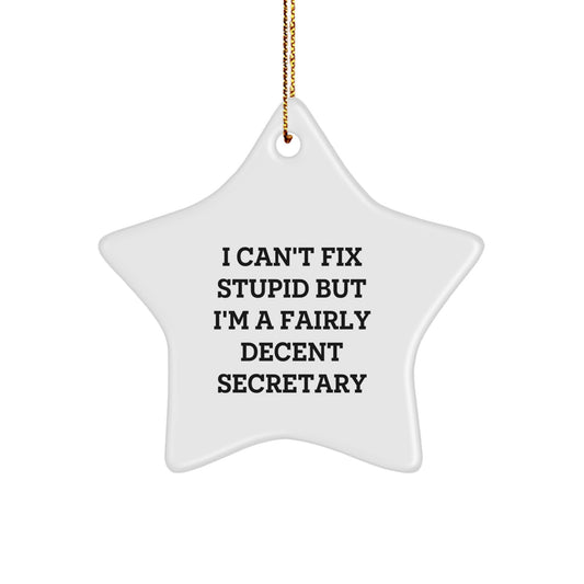 Funny Secretary Gift I Can't Fix Stupid But I'm A Fairly Decent Star Ornament for Christmas from Friends - Image 1