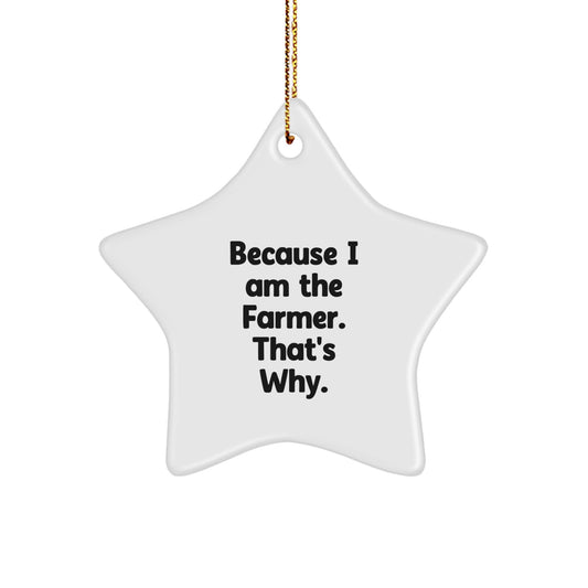 Farmer Gifts from Friends - Because I Am The Farmer. That's Why. - Star Ornament for Christmas - Image 1
